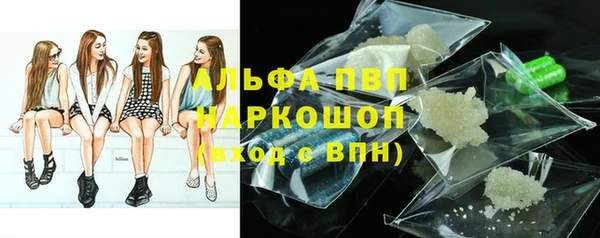 сатива Абинск