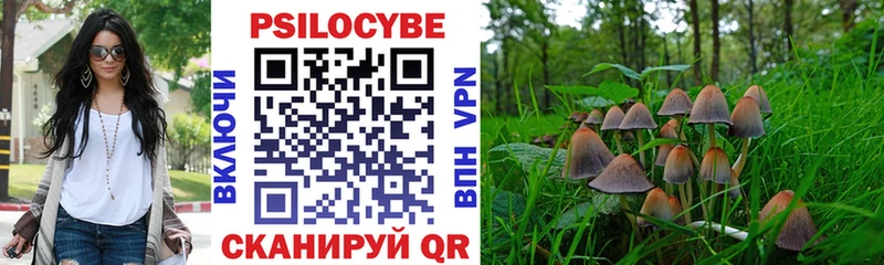 KRAKEN зеркало наркотики Янаул Псилоцибиновые грибы Psilocybine cubensis